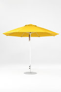 864FM-R554 Yellow-Alpine White