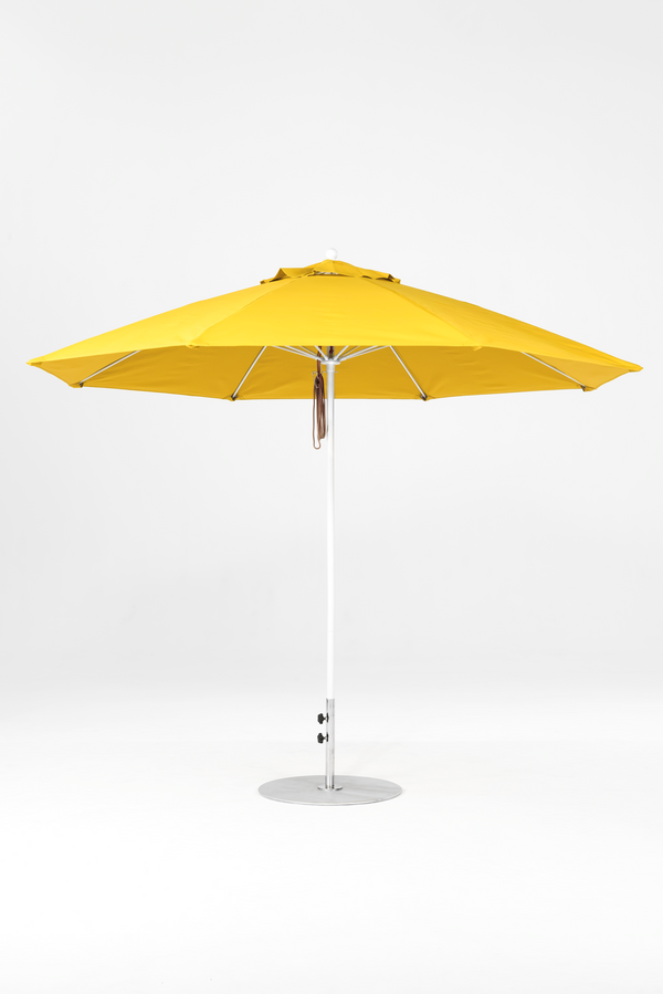 864FM-R554 Yellow-Alpine White