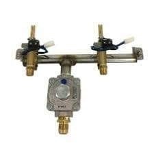 Fire Magic Deluxe Valve Main, with Regulator