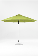 864FM-R160 Pistachio-Brushed Silver