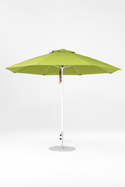 864FM-R160 Pistachio-Alpine White