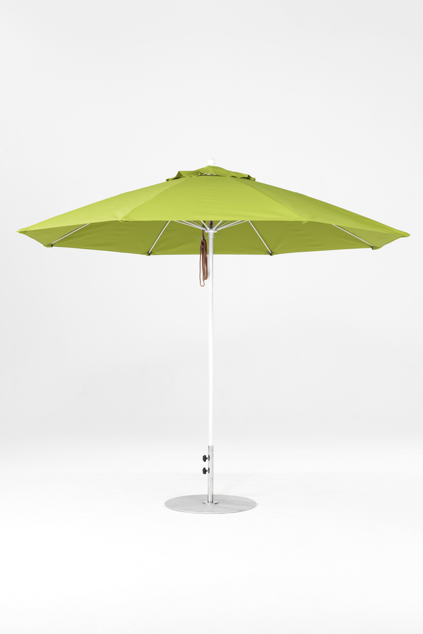 864FM-R160 Pistachio-Alpine White