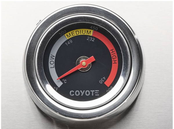 Coyote 30 Inch C-Series Built-In Grill