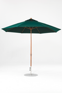 864FMC-R102 Forest Green-Golden Oak