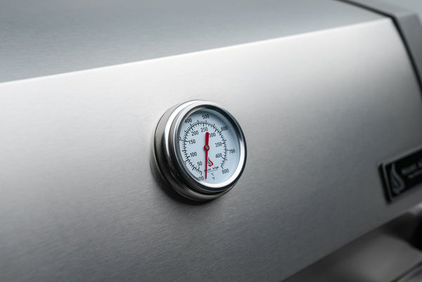 Mont Alpi 44 Inch Built in Grill