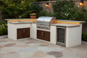 Delta Heat DHBQ32-D 32-Inch Built-In Gas Grill, Stainless Panel
