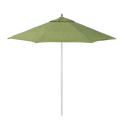 AAT908A-48022 Spectrum Cilantro