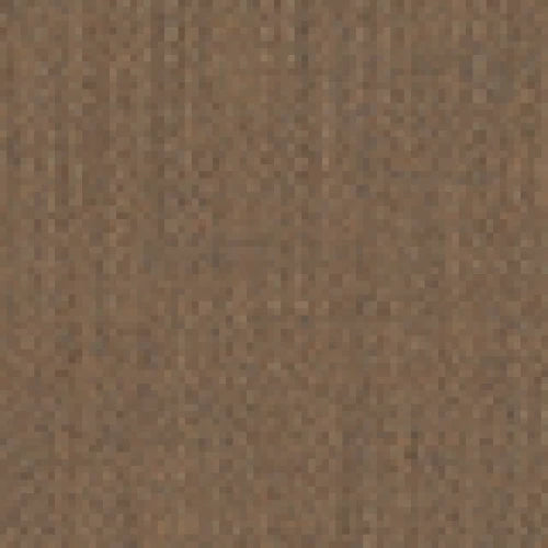 Spectrum Mushroom 48031