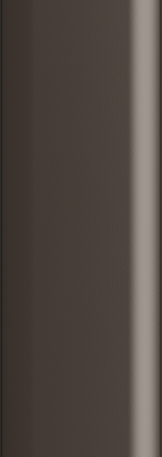 BZ - Desert Bronze