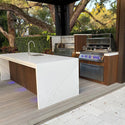 Tagwood Built In Santa Maria Argentine Wood Fire & Charcoal Gaucho Grill