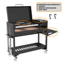 Tagwood Freestanding Argentine Wood Fire & Charcoal Gaucho Grill- Cold-Roll Steel