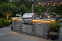 Delta Heat DHBQ26G-D 26-Inch Built-In Gas Grill