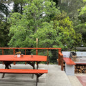 Tagwood Built In Santa Maria Argentine Wood Fire & Charcoal Gaucho Grill
