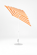 464FMA-SQ-005 Orange Stripe-Alpine White