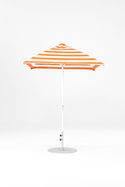 454FMC-SQ-005 Orange Stripe-Alpine White