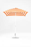 464FMC-SQ-005 Orange Stripe-Alpine White