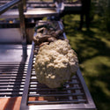 Tagwood Warming Rack