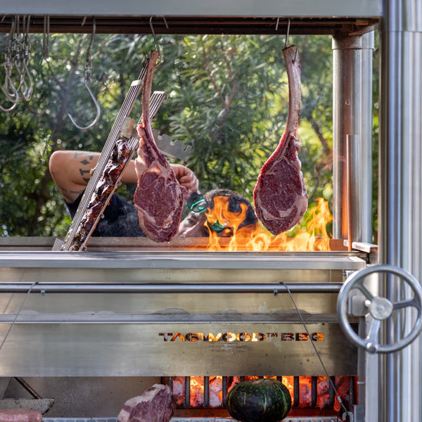 Tagwood The BEAST Argentine Santa Maria Style Wood Fire & Charcoal Gaucho Grill - All Stainless Steel
