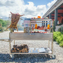 Tagwood XL Freestanding Argentine Santa Maria Wood Fire & Charcoal Gaucho Grill