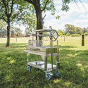 Tagwood Freestanding MINI Argentine Santa Maria Wood Fire & Charcoal Gaucho Grill