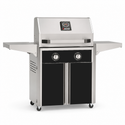American Outdoor Grill 24-inch T-Series freestanding gas grill with lid closed, black finish, front view on white background
