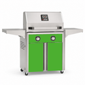 American Outdoor Grill 24-inch T-Series freestanding gas grill with lid closed, green finish, front view on white background
