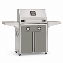 American Outdoor Grill 24-inch T-Series freestanding gas grill with lid closed, grey finish, front view on white background
