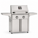 American Outdoor Grill 24-inch T-Series freestanding gas grill with lid closed, stainless steel finish, front view on white background
