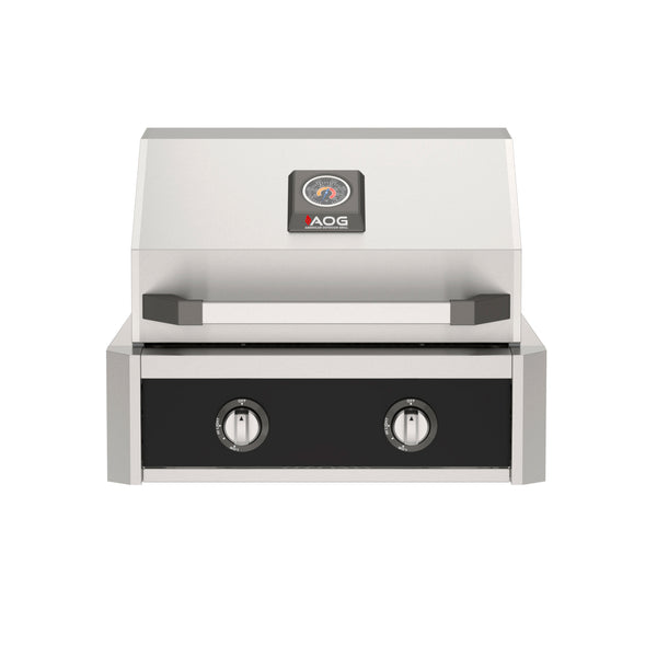  American Outdoor Grill 24-Inch T-Series Built-In Gas Grill with Black Accent Panel, Premium 2-Burner Built-In Outdoor Grill