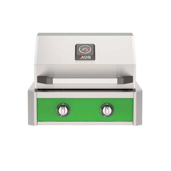 American Outdoor Grill 24-Inch T-Series Built-In Grill with Green Accent Panel, Stainless Steel 2-Burner Gas Grill