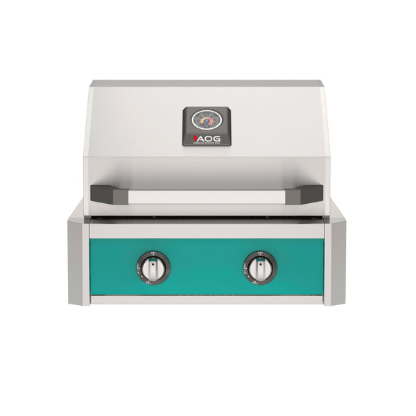 American Outdoor Grill 24-Inch T-Series Built-In Grill with Teal Accent Panel, 2-Burner Stainless Steel Built-In BBQ Grill