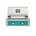 American Outdoor Grill 24-Inch T-Series Built-In Grill with Teal Accent Panel, 2-Burner Stainless Steel Built-In BBQ Grill
