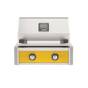  American Outdoor Grill 24-Inch T-Series Built-In Gas Grill with Yellow Accent Panel, 2-Burner Stainless Steel Outdoor Kitchen Grill