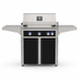 American Outdoor Grill 30-inch L-Series freestanding gas grill with lid closed,  black finish, front view on white background
