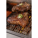 39 Inch Pacifica Commercial Grill Head with 1 Hour Gas Timer