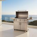 Artisan Professional 42 Inch Grill on Cart